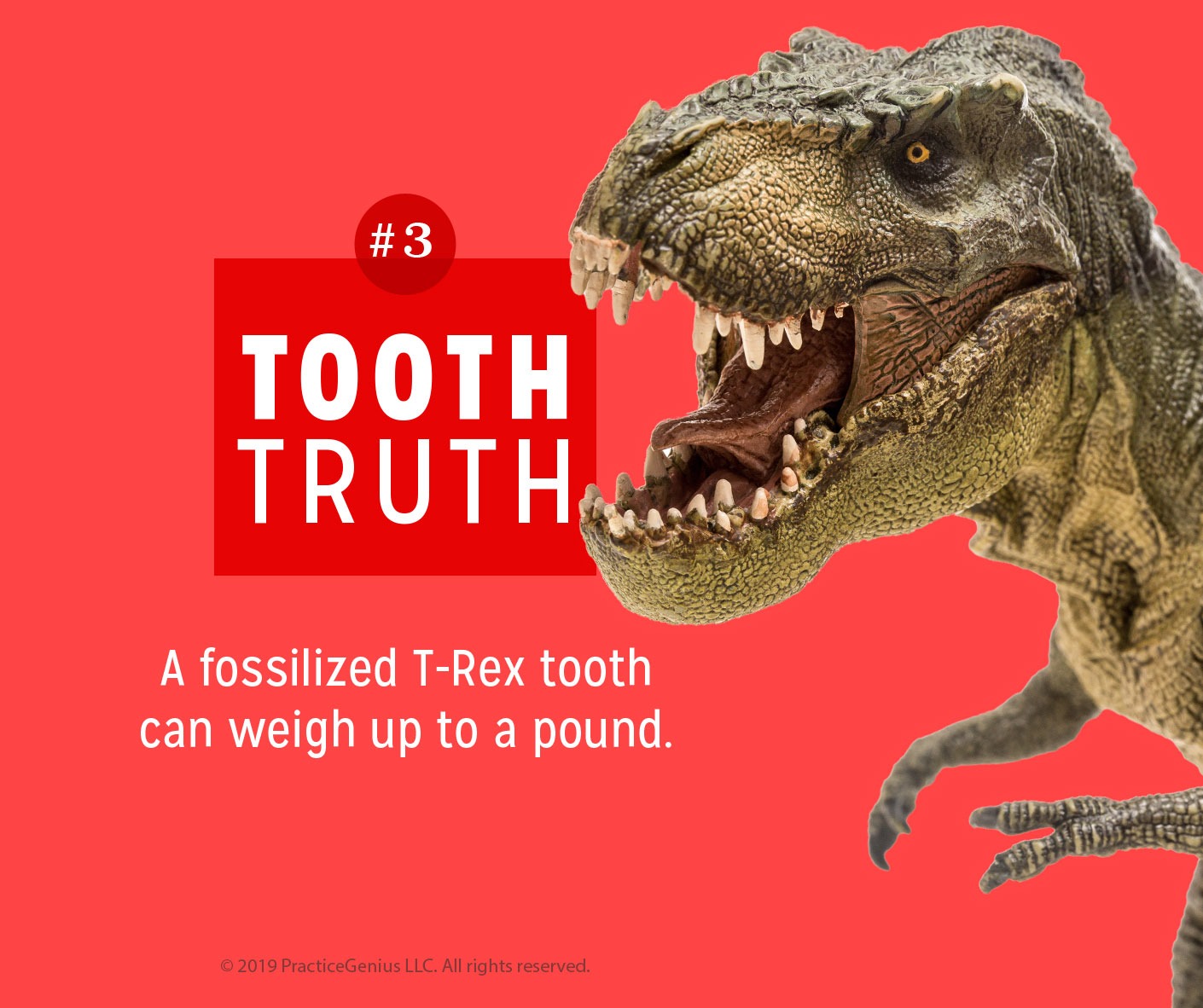 Kadar Orthodontics Content